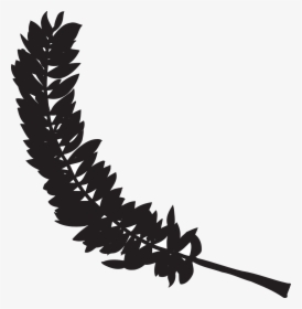 Feather Black Bird Free Picture - Feathers Silhouettes Transparent, HD Png Download, Free Download