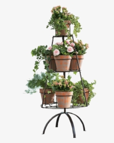 Transparent Flower Stand Png, Png Download, Free Download