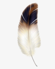 Macaw Feather Png Transparent Image - Feather Png, Png Download, Free Download