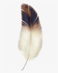 Brown And White Feather - Feather Png, Transparent Png, Free Download