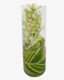 Cymbidium Orchid In Glass Tube, Perfect For A Modern - Vase, HD Png Download, Free Download