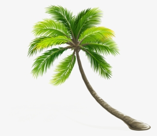 Arecaceae Coconut Leaf Tree Hd Image Free Png Clipart - Transparent Background Palm Tree Png, Png Download, Free Download