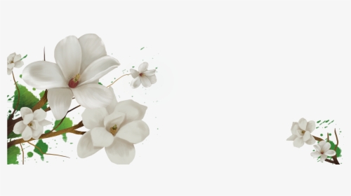 Transparent Background Jasmine Flower Png, Png Download, Free Download
