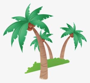 Coconut Tree Cartoon Beautiful Illustration - Coconut Tree Clip Art, HD Png Download, Free Download