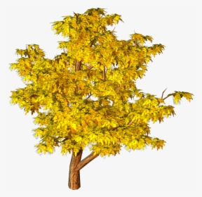Transparent Autumn Tree Clipart - Png Autumn Tree Transparent, Png Download, Free Download