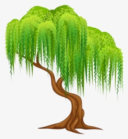 Willow Png Clip Art - Weeping Willow Tree Clipart, Transparent Png, Free Download