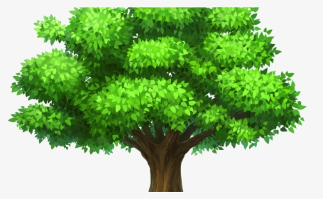 Download Oak Tree Image - Transparent Background Oak Tree Clipart, HD Png Download, Free Download