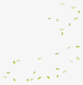 Google Images Search Engine Leaf Deciduous - Green Leaves Falling Png, Transparent Png, Free Download
