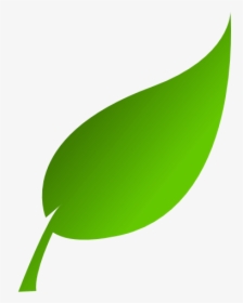 Green Leaf Png Photo - Green Leaf Clipart, Transparent Png, Free Download