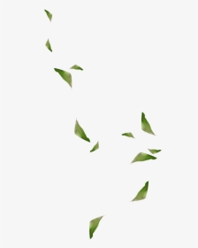 #mq #green #leaf #leaves #falling #decoration #background - Green Leaves Falling Transparent Background, HD Png Download, Free Download