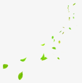 Green Leaves Falling Png , Png Download - Portable Network Graphics, Transparent Png, Free Download