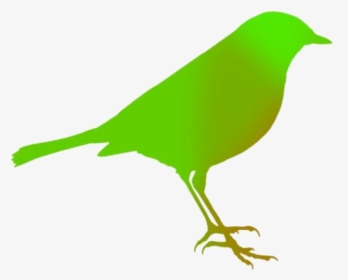 Bird Art Png Transparent Images - Old World Flycatcher, Png Download, Free Download