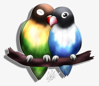 Transparent Love Birds Png - Transparent Pictures Of Lovebirds, Png Download, Free Download