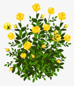 Yellow Rose Bush Png - Flower Bush Clipart, Transparent Png, Free Download