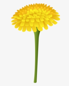 Transparent Wildflower Png - Dandelion Clipart Png, Png Download, Free Download
