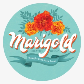 Marigold Png, Transparent Png, Free Download