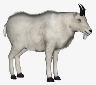 Mountain Goat Transparent Background, HD Png Download, Free Download