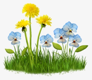 #flower #garden #plant #nature #grass #field #lawn - Clipart Fleurs Fond Transparent, HD Png Download, Free Download