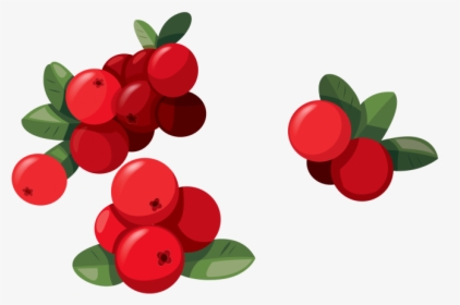 Red Fruit Png - Cranberry, Transparent Png, Free Download