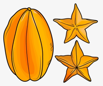 Star Fruit Vector, HD Png Download, Free Download
