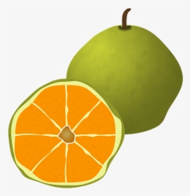 Ugli Fruit, Fruit, Citrus, Organic, Juicy, Orange - Ugli Fruit Png, Transparent Png, Free Download