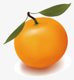 Orange Juice Free Content Clip Art - Clipart Cartoon Oranges, HD Png Download, Free Download