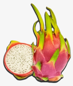 Dragon Fruit Pictures Free Dragon Fruit Clipart - Pitaya, HD Png Download, Free Download