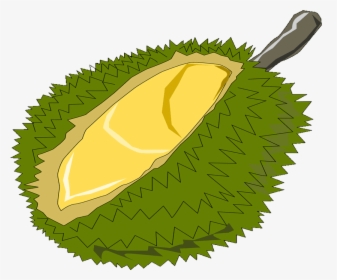 Free Fruits Name - Durian Clip Art, HD Png Download, Free Download