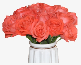 High Quality Fresh Cut Flower Rose From Kunming China - Garden Roses, HD Png Download, Free Download