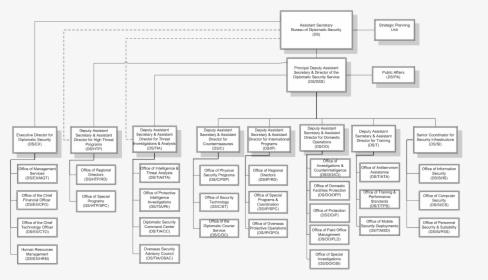 Bureau Of Diplomatic Security Organization Chart - Organization Chart Courier Service, HD Png Download, Free Download