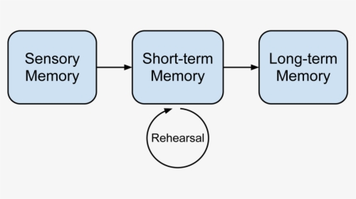 3 Memory Types Ctml - Memory Rehearsal, HD Png Download, Free Download