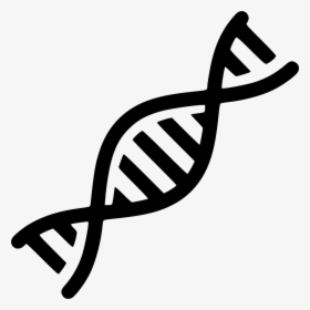 Png Dna Svg Library Download - Dna Png, Transparent Png, Free Download