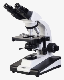 Microscope - Microscope Png, Transparent Png, Free Download