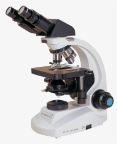 Microscope Png, Transparent Png, Free Download