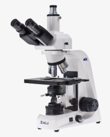 Microscope Png - Biological Microscope, Transparent Png, Free Download