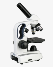 Microscope Png Image - Microscope Png, Transparent Png, Free Download