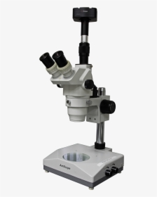 Microscope 1000px - Microscope 中文, HD Png Download, Free Download