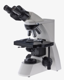 Microscope Png, Transparent Png, Free Download