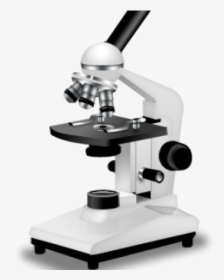 Microscope Png Transparent Images - Parts Of A Microscope Grade 8, Png Download, Free Download