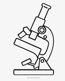 Transparent Microscope Clipart Black And White - Microscope Line Art Png, Png Download, Free Download