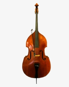 String Instruments, HD Png Download, Free Download