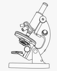 Microscope Clipart Black And White - Light Microscope Black And White, HD Png Download, Free Download