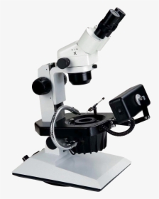 Hzb 2 Microscope, HD Png Download, Free Download