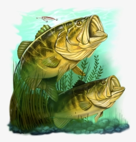 Large Mouth Bass Png - Quilt Fabric Fish Panel, Transparent Png, Free Download