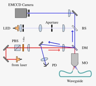 Diagram, HD Png Download, Free Download