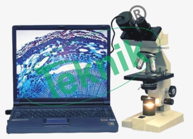 Microscope Equipment - Output Device, HD Png Download, Free Download