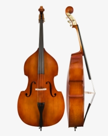 Upright Bass Png, Transparent Png, Free Download