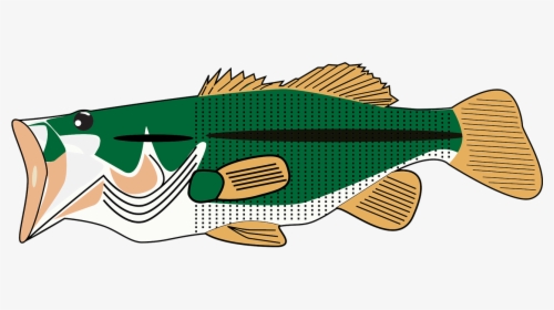 Transparent Bass Fish Png - Fish Graphic Sea Bass, Png Download, Free Download
