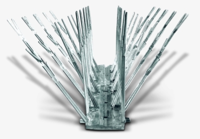 Vase, HD Png Download, Free Download
