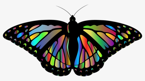 Monarch, Butterfly, Animal, Insect, Wings, Flying - Mariposa Monarca En Png, Transparent Png, Free Download